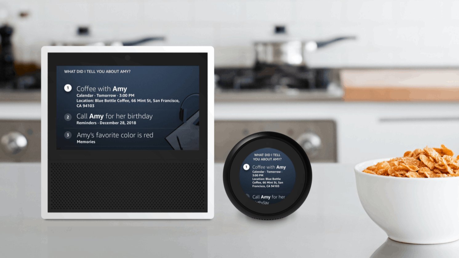 Show & Echo Spot — "What did I tell you about Amy?" — Final UI · Multi-Surface